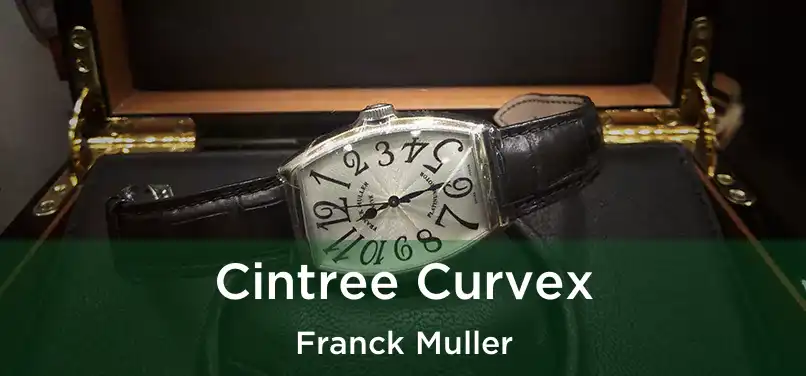  Cintree Curvex Franck Muller